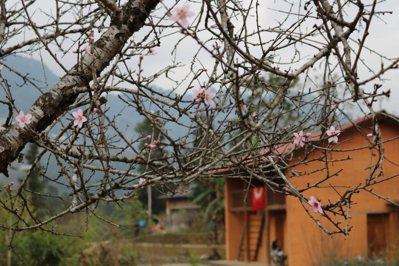Huy Man Homestay Ha Giang Exterior foto