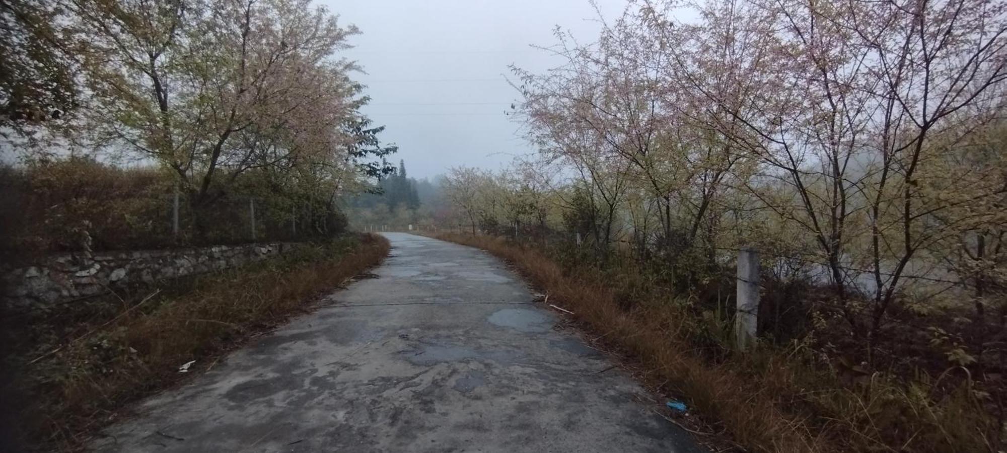Huy Man Homestay Ha Giang Exterior foto